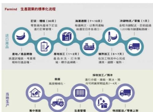 洪九果品 強大供應鏈整合能力定義水果產業標準化